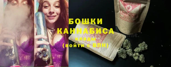 стаф Аркадак
