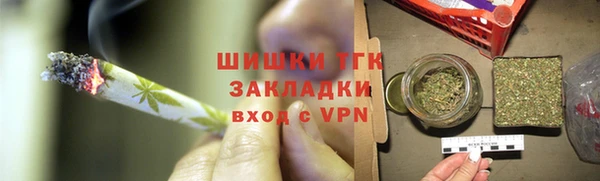 стаф Аркадак