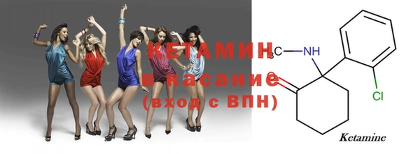 стаф Аркадак