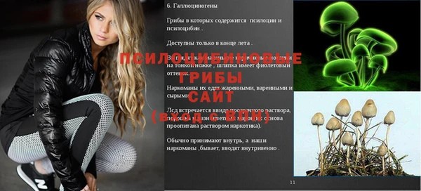каннабис Арсеньев