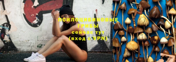 стаф Аркадак