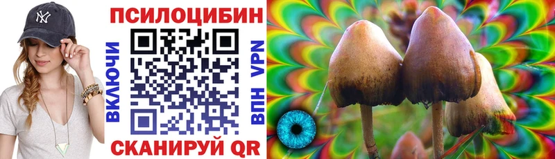Галлюциногенные грибы прущие грибы Кропоткин